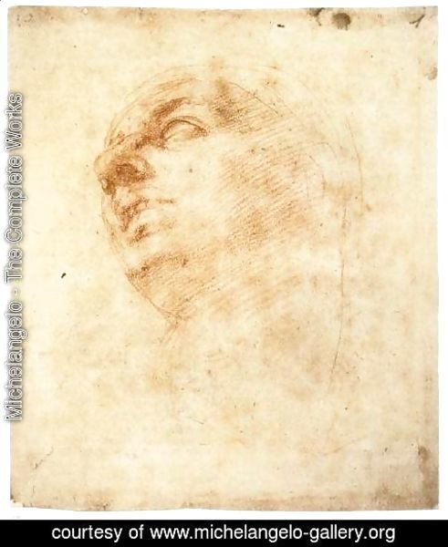 Michelangelo - Study of a Head Looking Upward (recto)