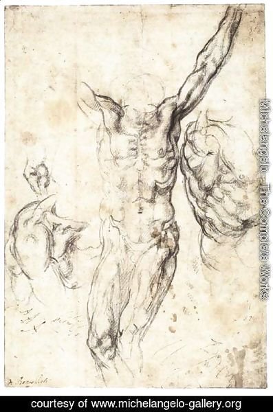 Michelangelo - Studies of the Crucified Christ (recto)