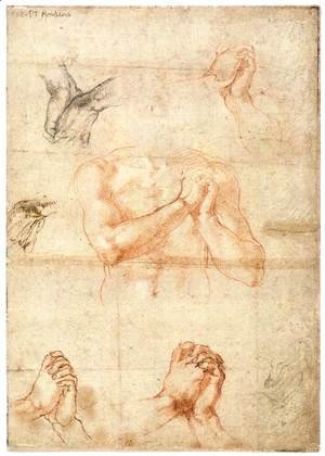 Michelangelo - Male Upper Body with Folded Hands (verso)