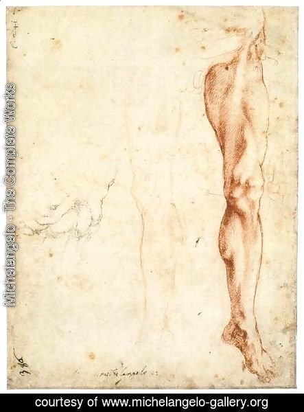 Michelangelo - Study of a Left Male Leg (verso)
