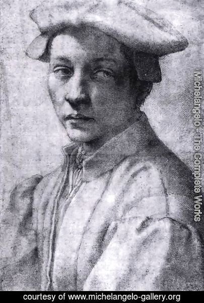Michelangelo - Andrea Quaratesi