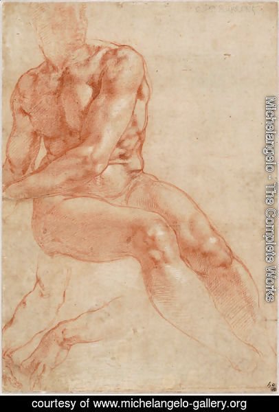 Michelangelo - Male Nude Study