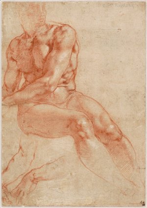 Michelangelo - Male Nude Study