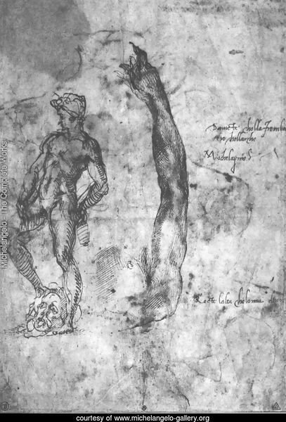 Study For An Arm Of The Marble David And The Figure Of The Bronze David