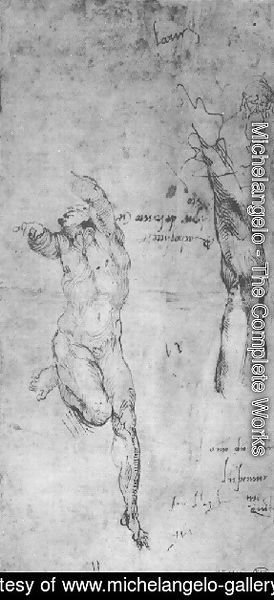 Michelangelo - Male Nude Arm Bearded Man