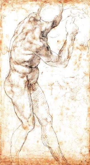 Michelangelo - Male Nude 1504-06