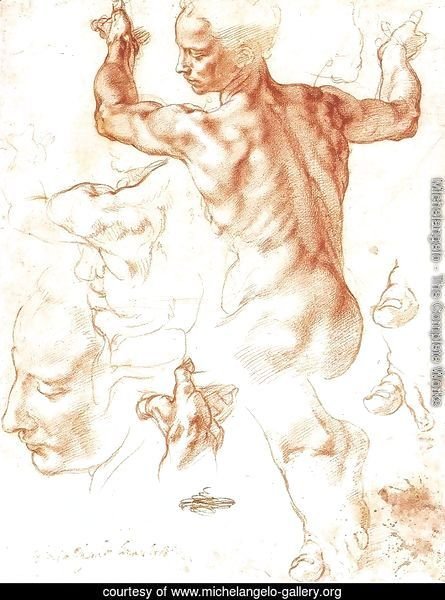 Study for the Libyan Sibyl 1511