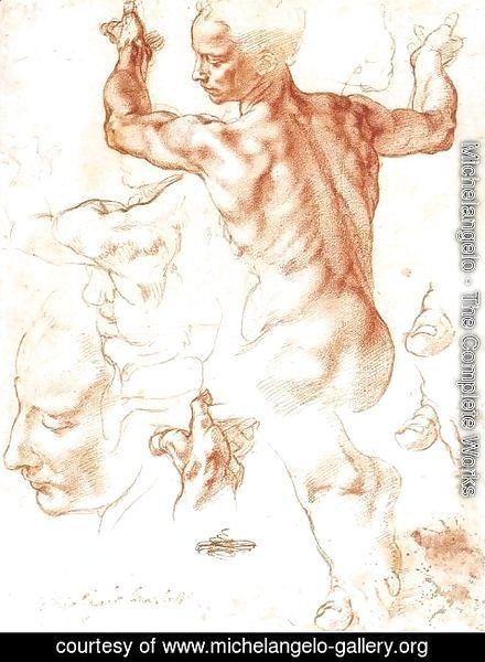 Michelangelo - Study for the Libyan Sibyl 1511