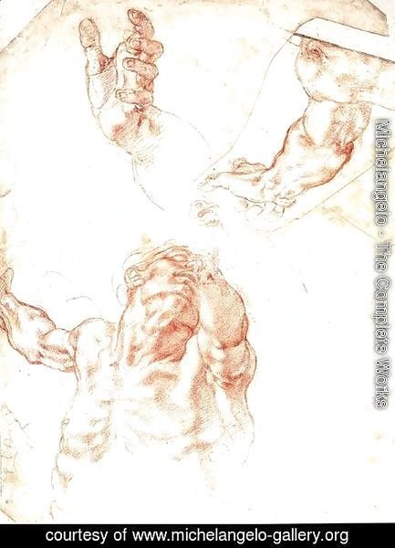 Michelangelo - Study for Haman 1511