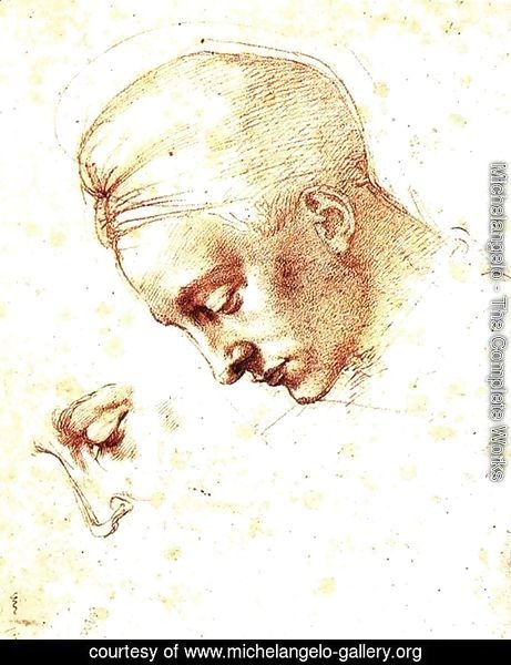 Study of a Head c. 1530